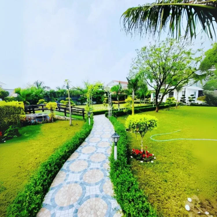Pre-Wedding Lawn